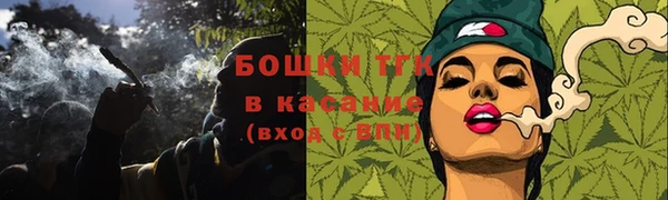 твердый Верхний Тагил