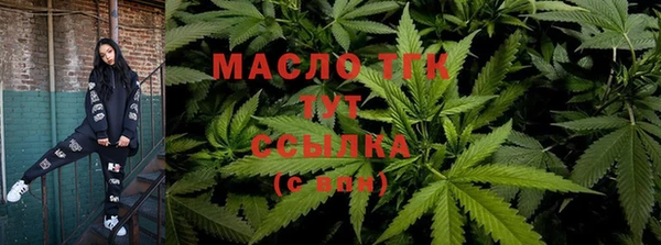твердый Верхний Тагил