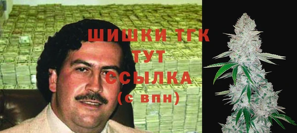 твердый Верхний Тагил