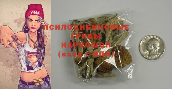ГАЛЛЮЦИНОГЕННЫЕ ГРИБЫ Верхнеуральск